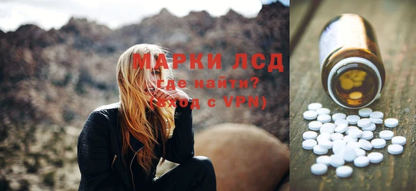 прущие грибы Вяземский