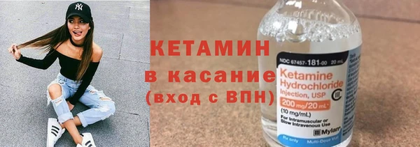 прущие грибы Вяземский