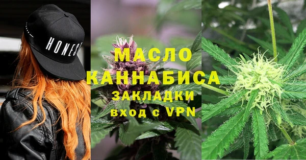 прущие грибы Вяземский