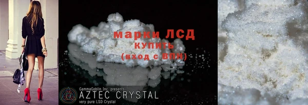 прущие грибы Вяземский