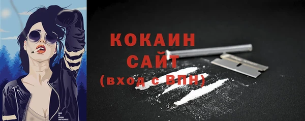 прущие грибы Вяземский