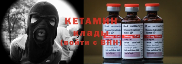 прущие грибы Вяземский