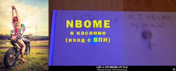прущие грибы Вяземский