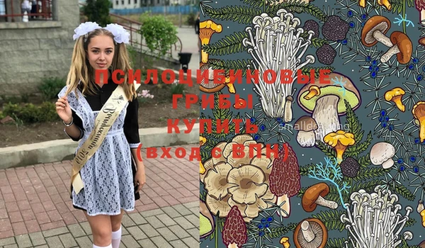 мескалин Вязники
