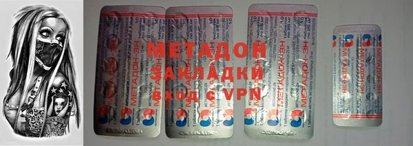 прущие грибы Вяземский