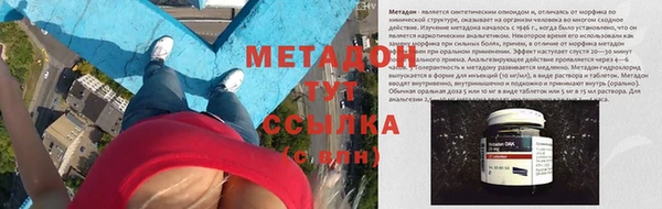 прущие грибы Вяземский