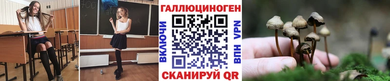 Псилоцибиновые грибы Magic Shrooms  Мытищи 
